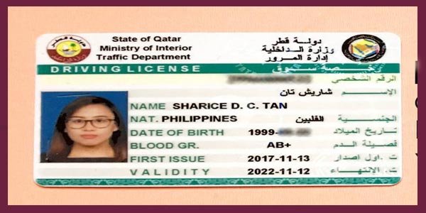 Driving Licenses & Vehicle Registration